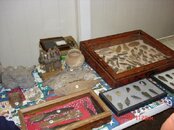 DSC00769.jpg