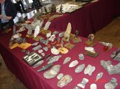 DSC00774.jpg