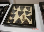 DSC00775.jpg