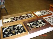 DSC00772.jpg