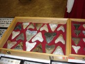 DSC00773.jpg