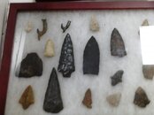 2013 Fossil Show 011.jpg