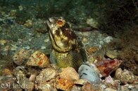 IMG_3249.jpg