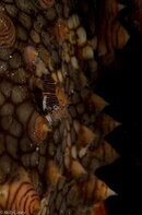 BHB-201301278418.jpg