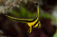 BHB-201208199476.jpg