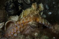 BHB-201301278265.jpg