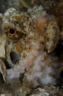 BHB-201301278268.jpg