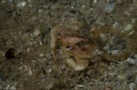 BHB-201301278274.jpg