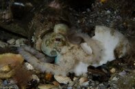 BHB-201301278292.jpg