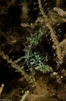 BHB-201301278395.jpg