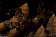 BHB-201301278420.jpg