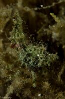 BHB-201301278405.jpg