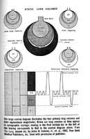 Static Lung Volumes.jpg