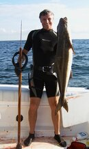 cobia-e.jpg