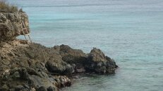 DSC00276.jpg