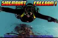 sidemount-inverted.jpg