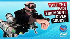 Oh dear style sidemount.jpg