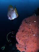 DSC_7675 FB.jpg