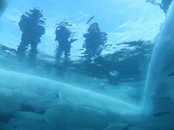IMG_0319.jpg