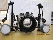 imagesCATUOUI6.jpg