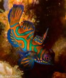 Philippines 2013 (1 of 12013)-2.jpg