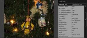 Scuba Ornament.jpg