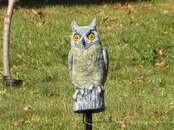 IMG_0101.jpg