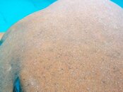 20130305_02.jpg