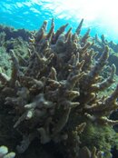 GOPR0074.jpg