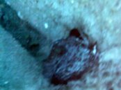 PICT0222.jpg
