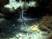 PICT0238.jpg