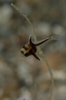 BHB-201301278345.jpg