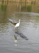 DSCN2885.JPG