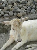 DSCN2911.JPG
