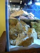 DSCN2912.JPG