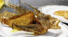 Encore-Fish-House-Lion-Fish-7.jpg