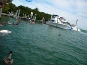 DSCN2962.jpg