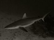 DSC01925.jpg