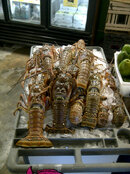 IMG-20130314-00206.jpg