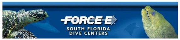 force-e header.JPG