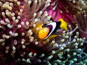 IMG_16822.jpg