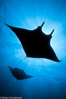 20111208_Mantas_Boiler_San_Benedicto_02-60-Edit.jpg