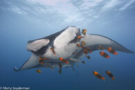 20121214__Cabo_Pearce_01-57-Edit-2.jpg