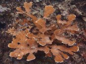 LC201320130218_044.jpg
