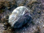 PICT0190.jpg