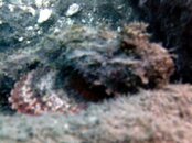 PICT0211.jpg