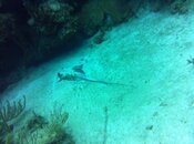 IMG_2627.jpg