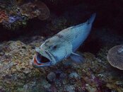 LC201320130219_065.jpg