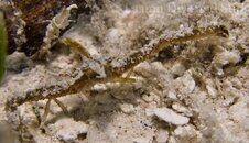 2013-03-25_026-2.jpg