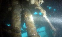 dive 2.jpg
